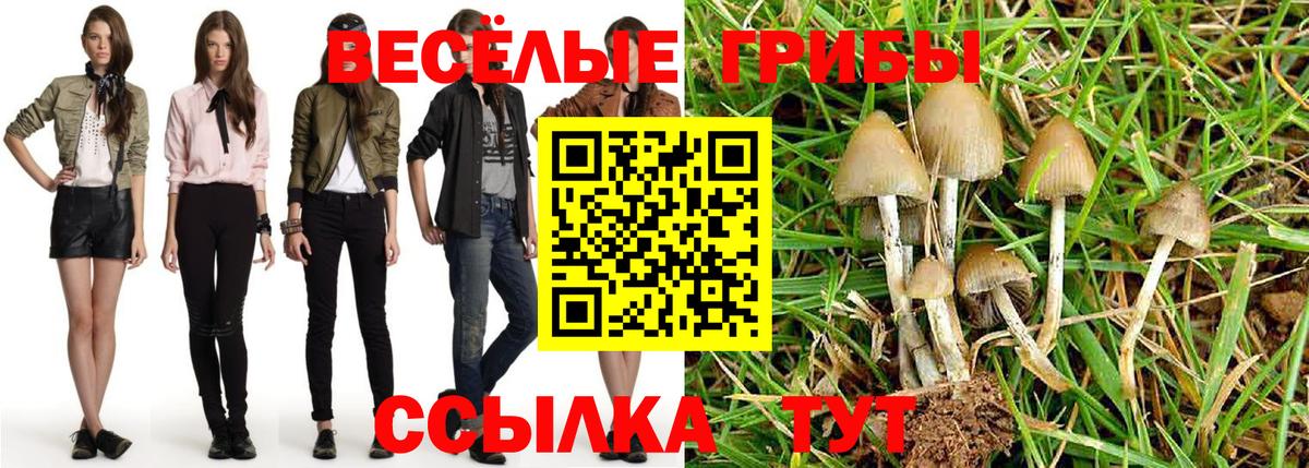 Галлюциногенные грибы мухоморы Ялта